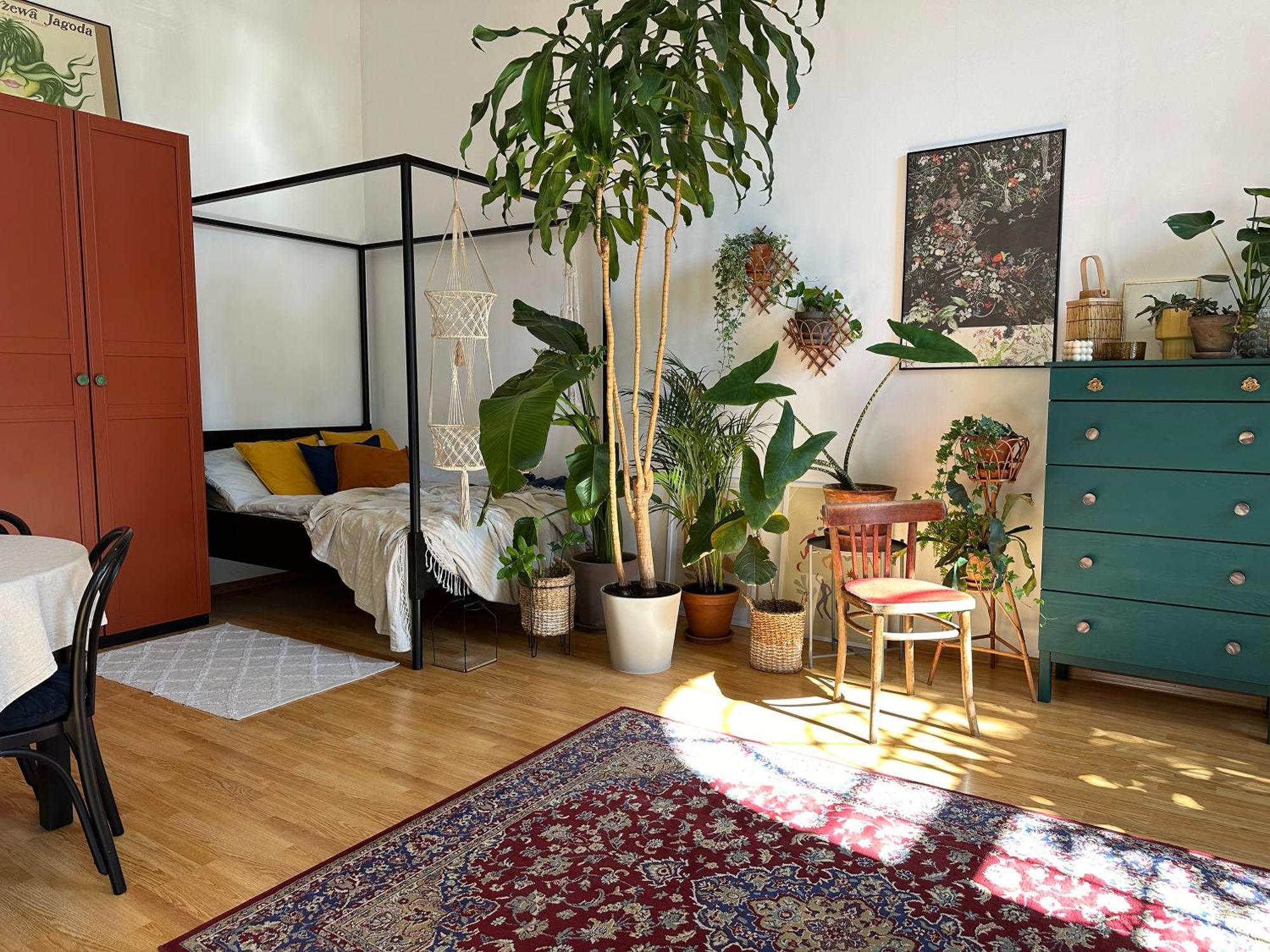 Wlokno - Sloneczny Loft U Scheiblera *