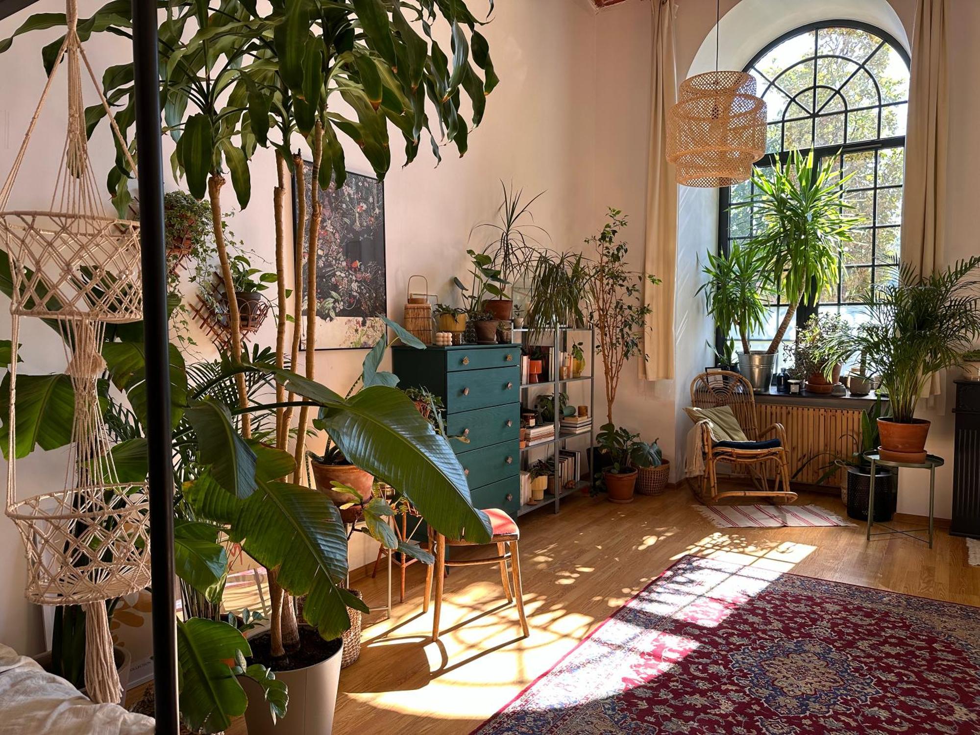 Wlokno - Sloneczny Loft U Scheiblera Apartment *