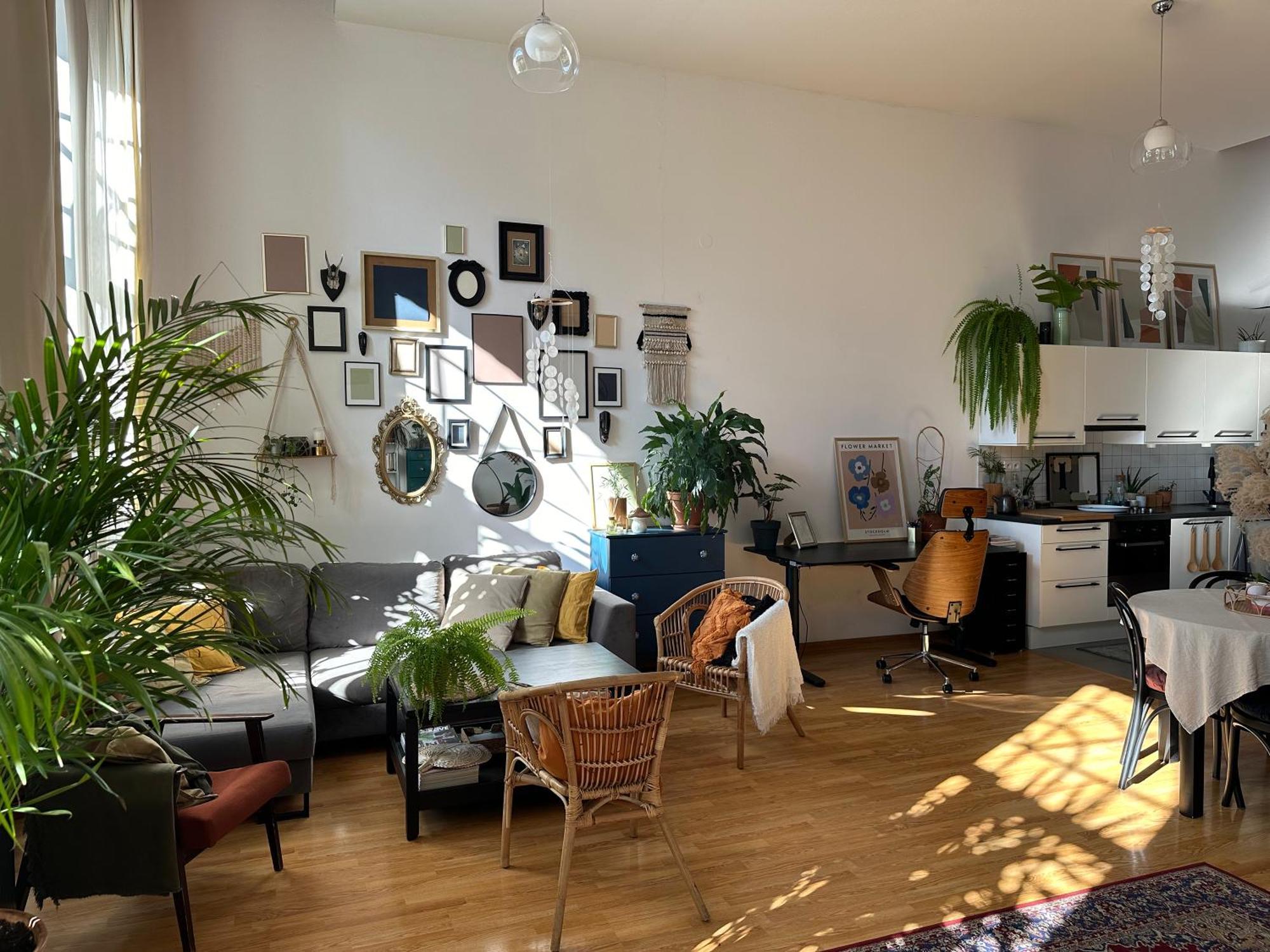 Apartment Wlokno - Sloneczny Loft U Scheiblera *