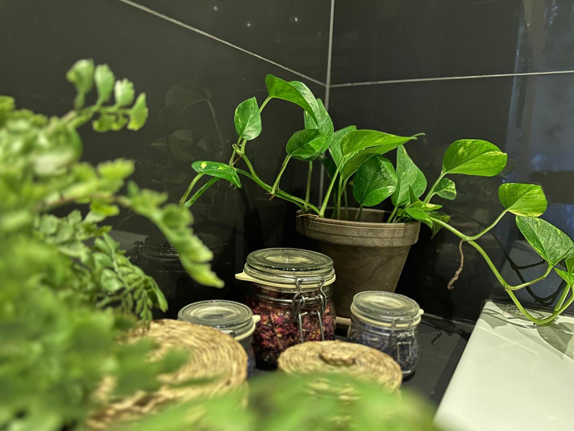 Wlokno - Sloneczny Loft U Scheiblera Apartment Lodz (Lodz)