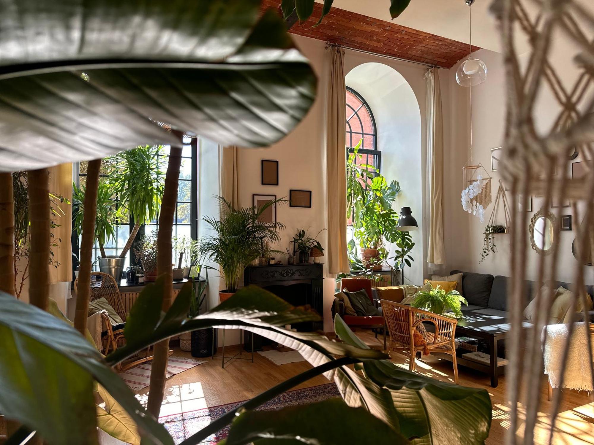 Wlokno - Sloneczny Loft U Scheiblera Apartment Lodz (Lodz)