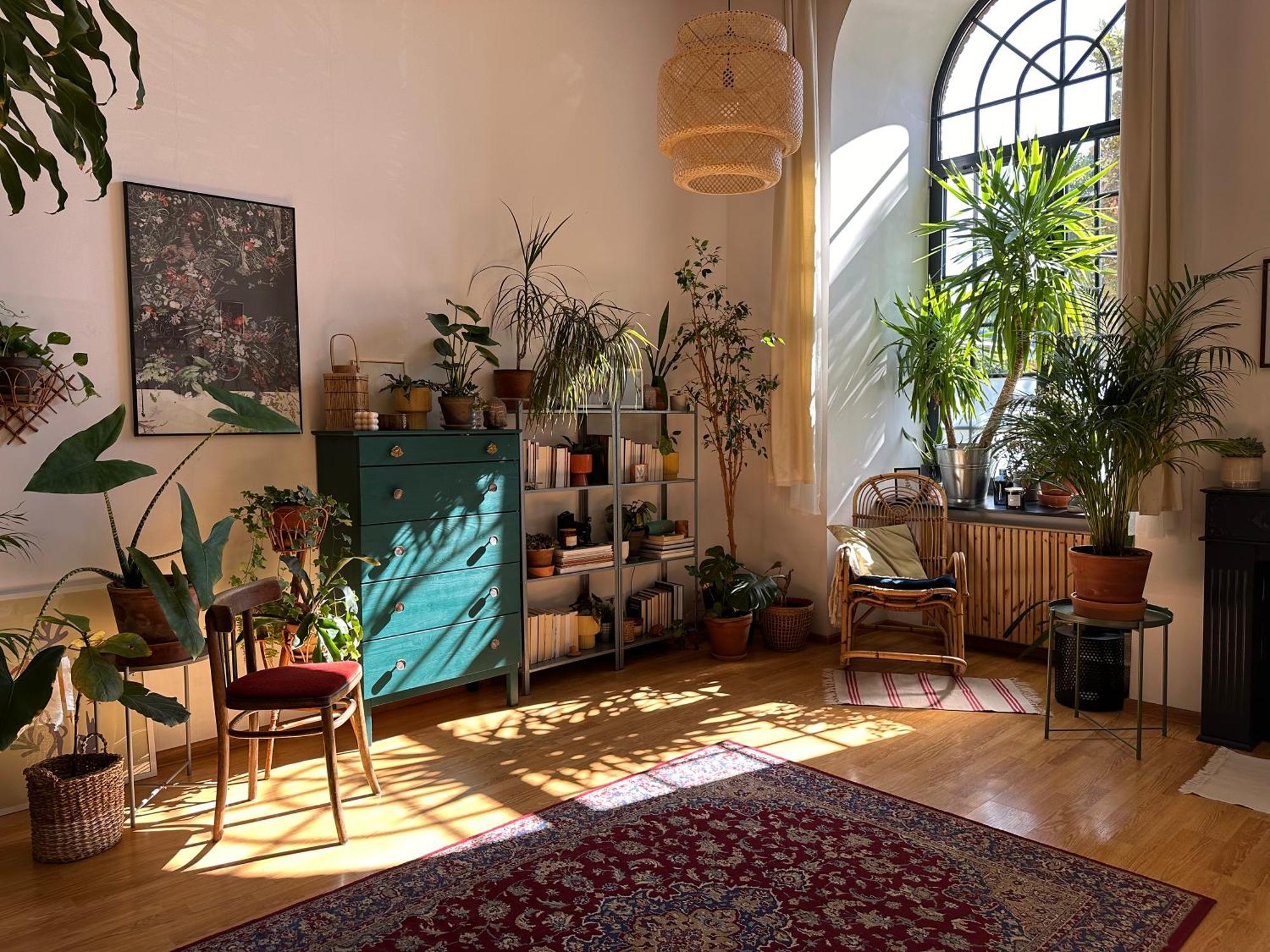 Wlokno - Sloneczny Loft U Scheiblera *